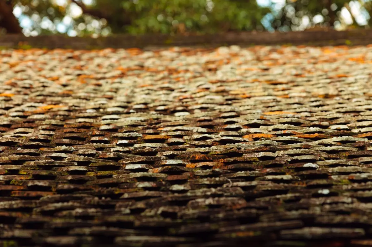 Aging shingle roof with moss growth and granule loss in Bellingham, WA