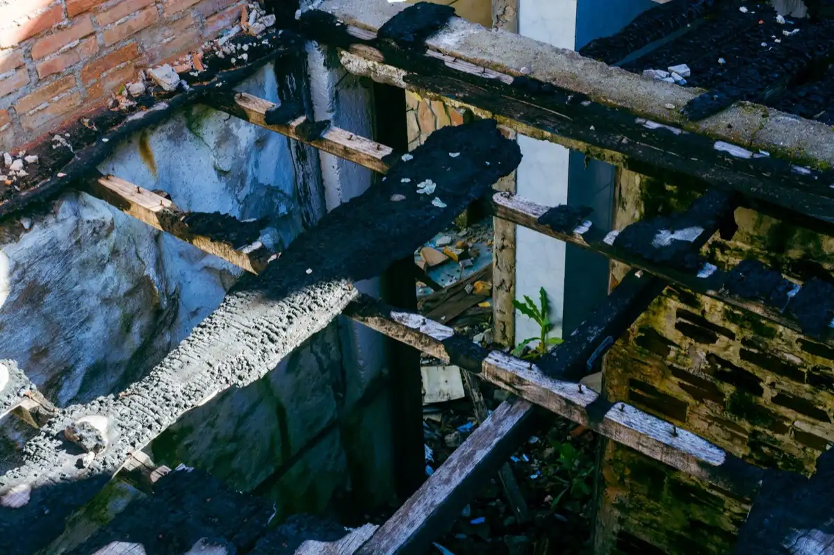 Roof Leak Repair in Bellingham, WA